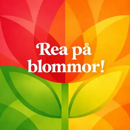 Vente de fleurs - bouquets à prix réduit